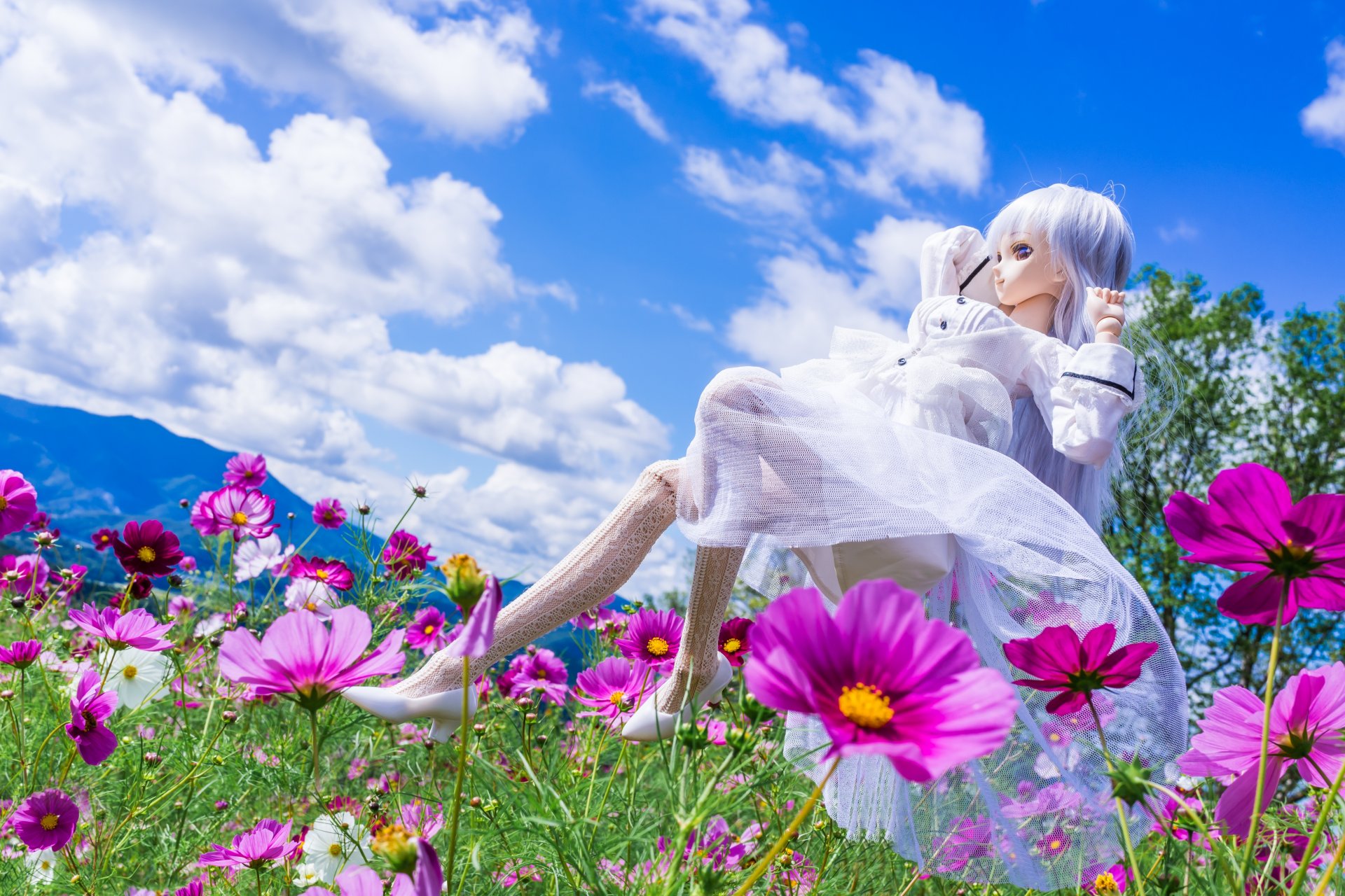 puppe spielzeug blumen kosmea wiese wolken stimmung