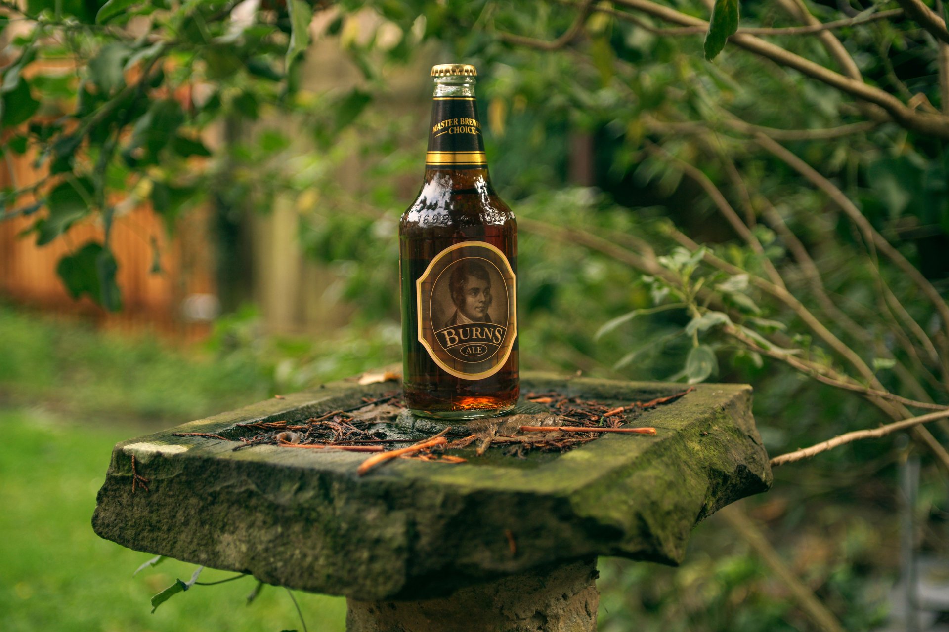 flasche bokeh sockel feiern robert burns dichter schottland
