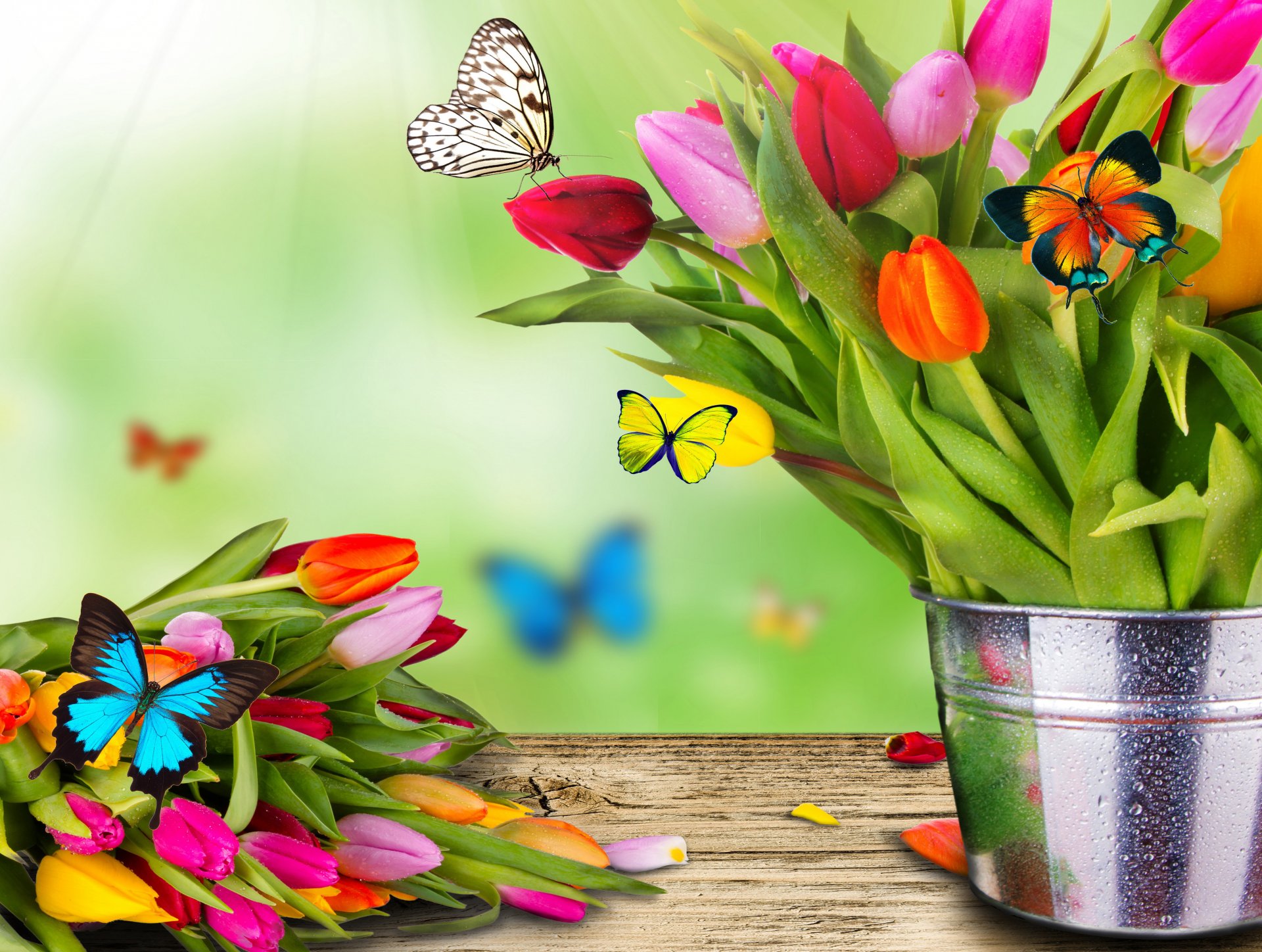 frühling blumen tulpen eimer blumenstrauß schmetterling motte collage