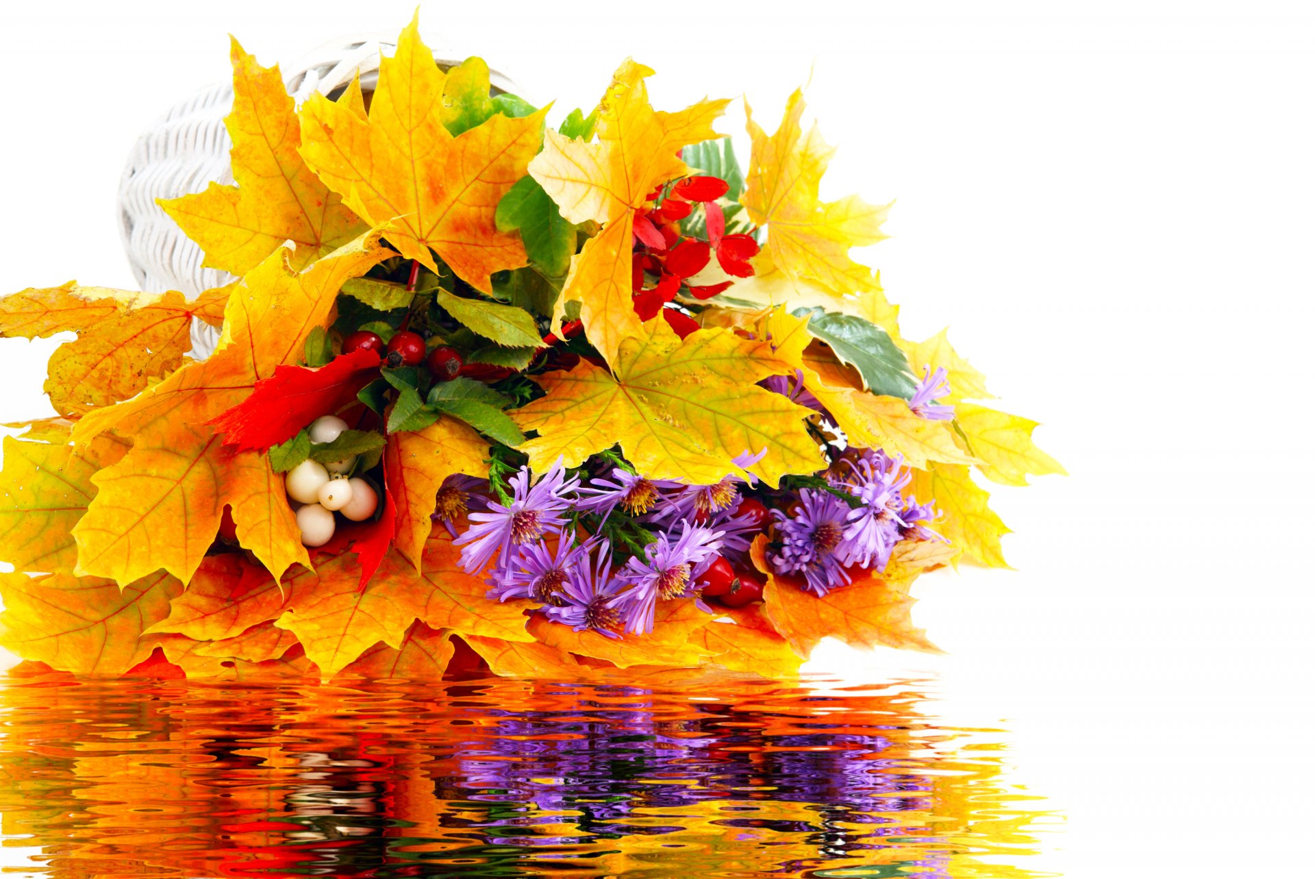 blumenstrauß blätter blumen herbst wasser reflexion