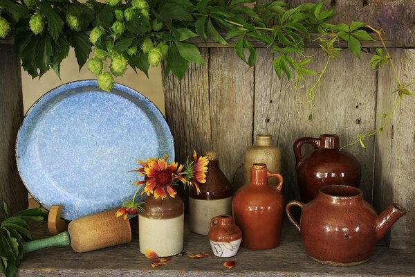 Selbst gemachtes schönes Geschirr und Karaffen