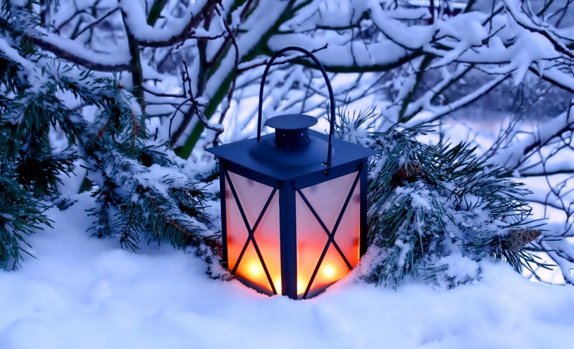 natur kerzen winter schnee laterne winter licht