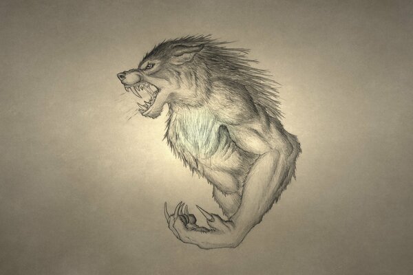 Zeichnung eines knurrenden Werwolfs mit großen Reißzähnen und Krallen