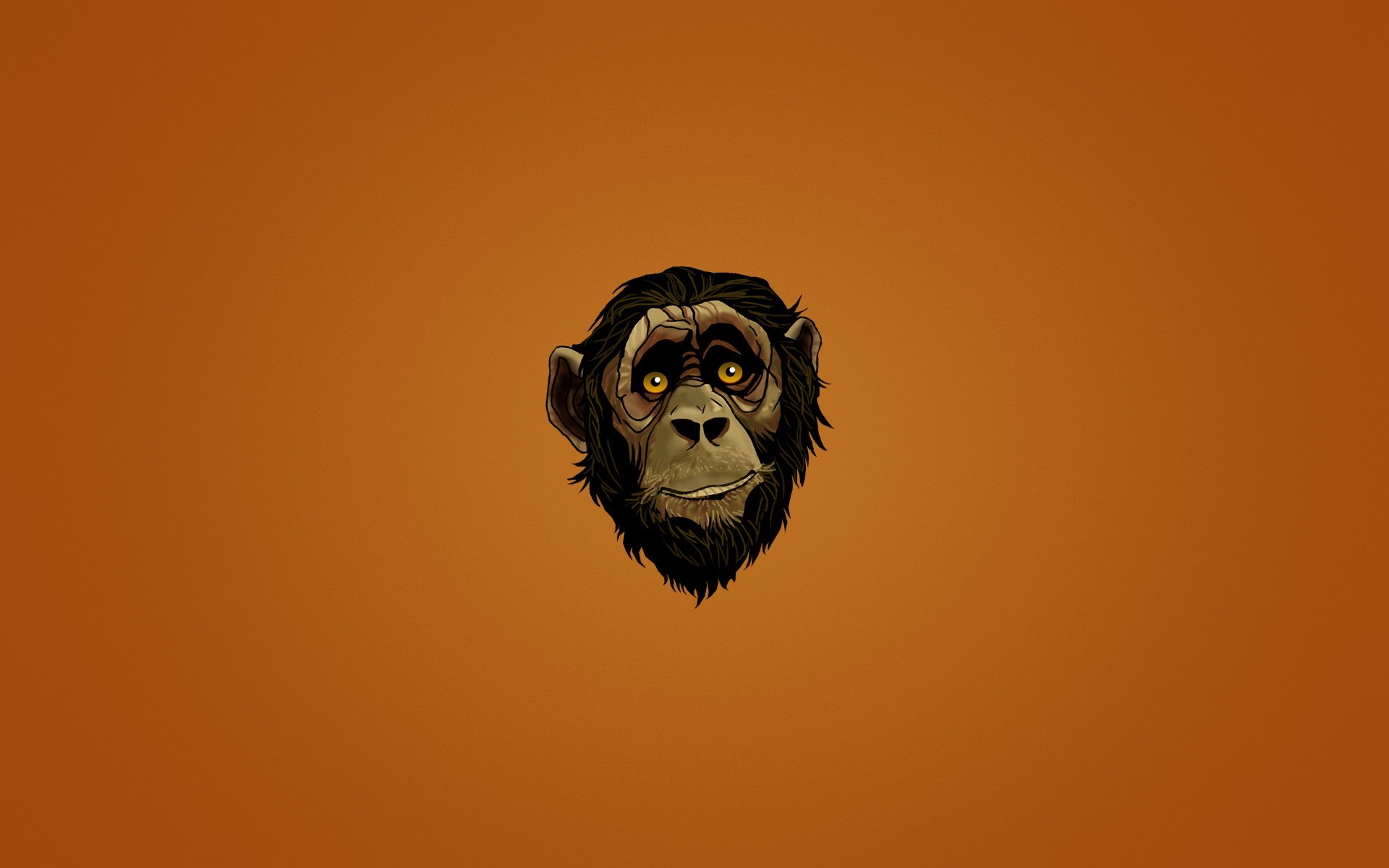 affe schnauze kopf gesicht blick dunkler hintergrund minimalismus