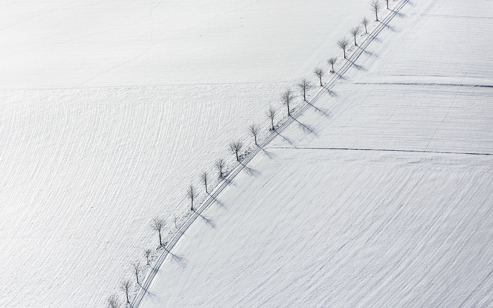 feld bäume schnee landschaft minimalismus