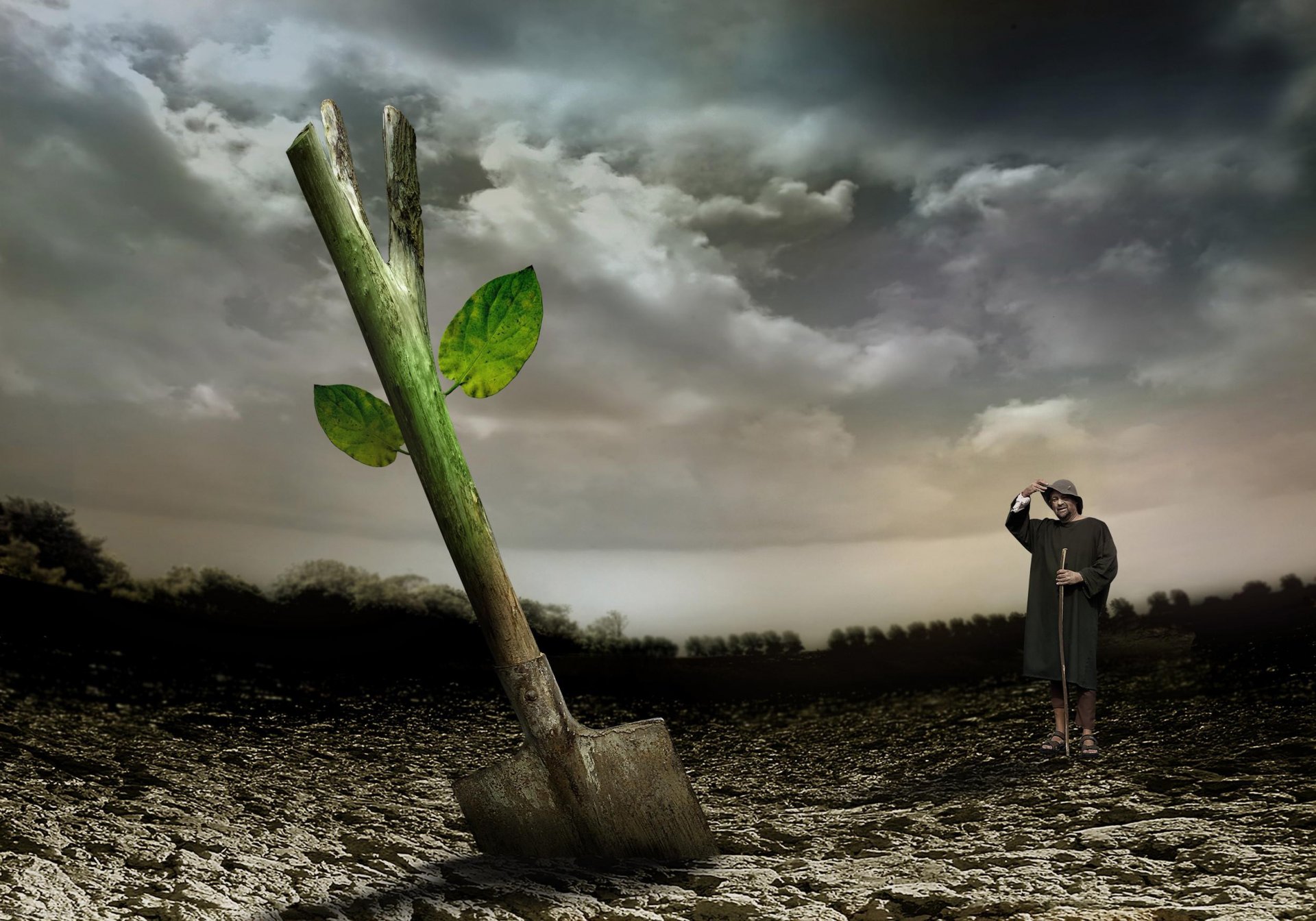 schaufel spross leben