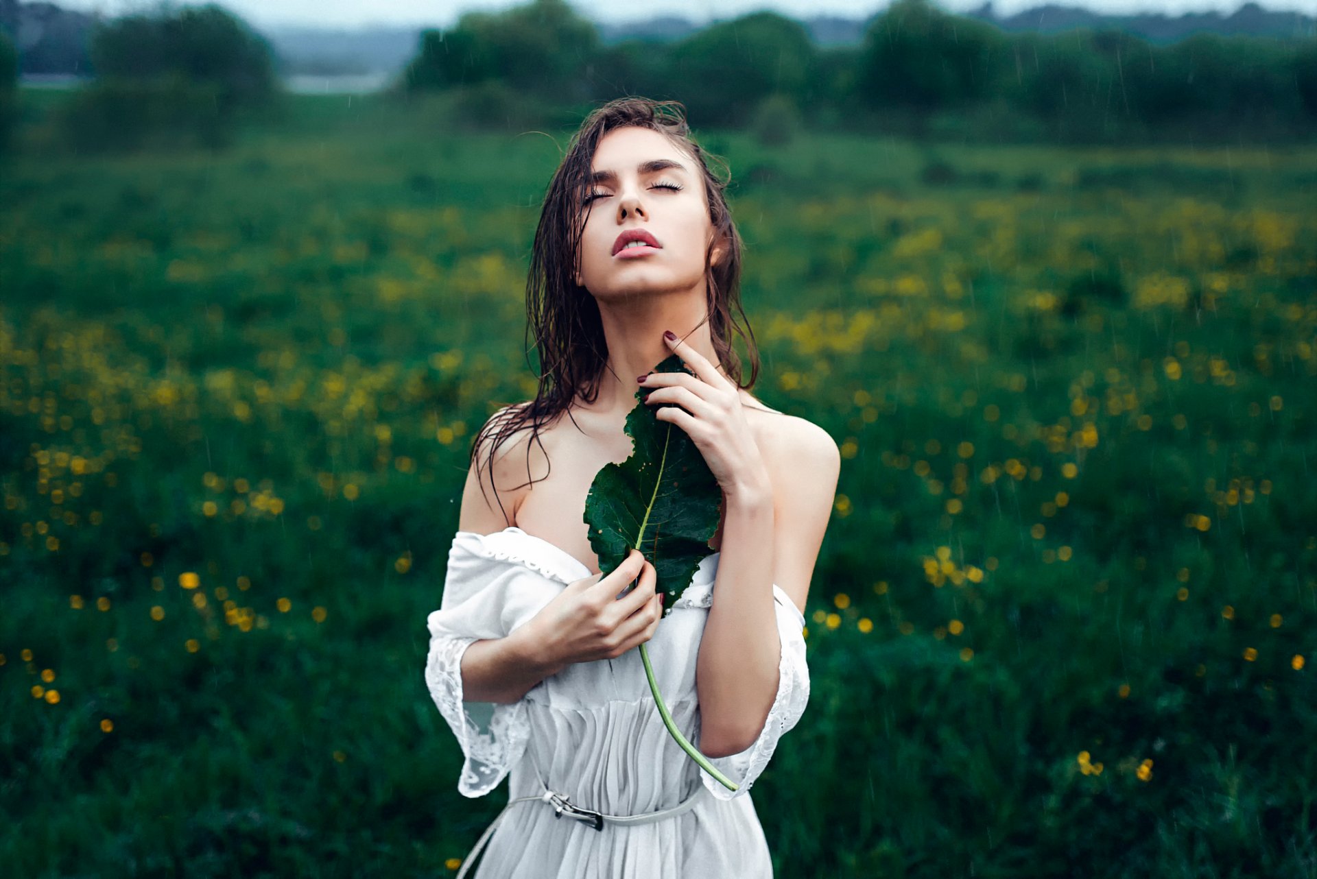 frühling regen vika victoria frühling regen blatt georgy chernyadyev