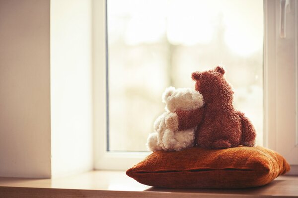 Stofftiere auf Kissen schauen aus dem Fenster
