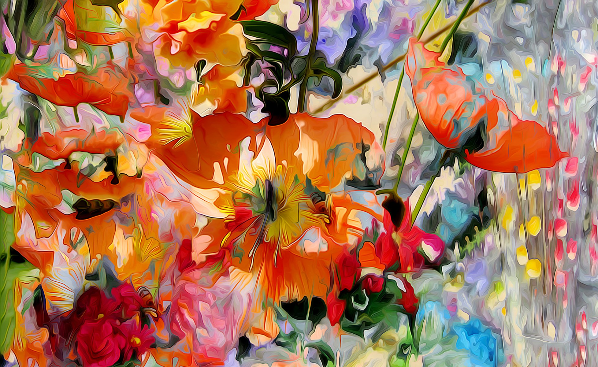 blumen mohn blütenblätter wiese garten