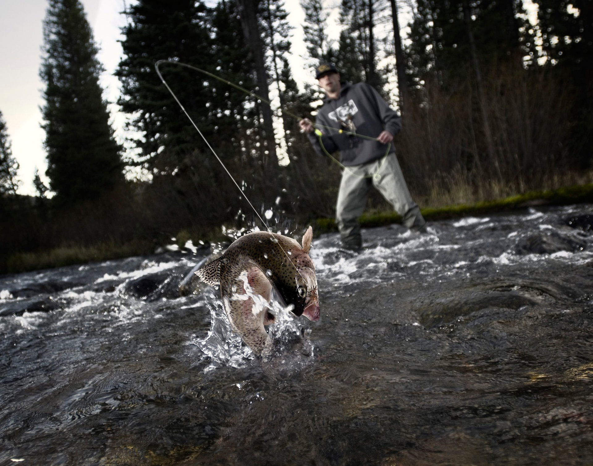 fischer angeln fisch spritzen schneiden glück