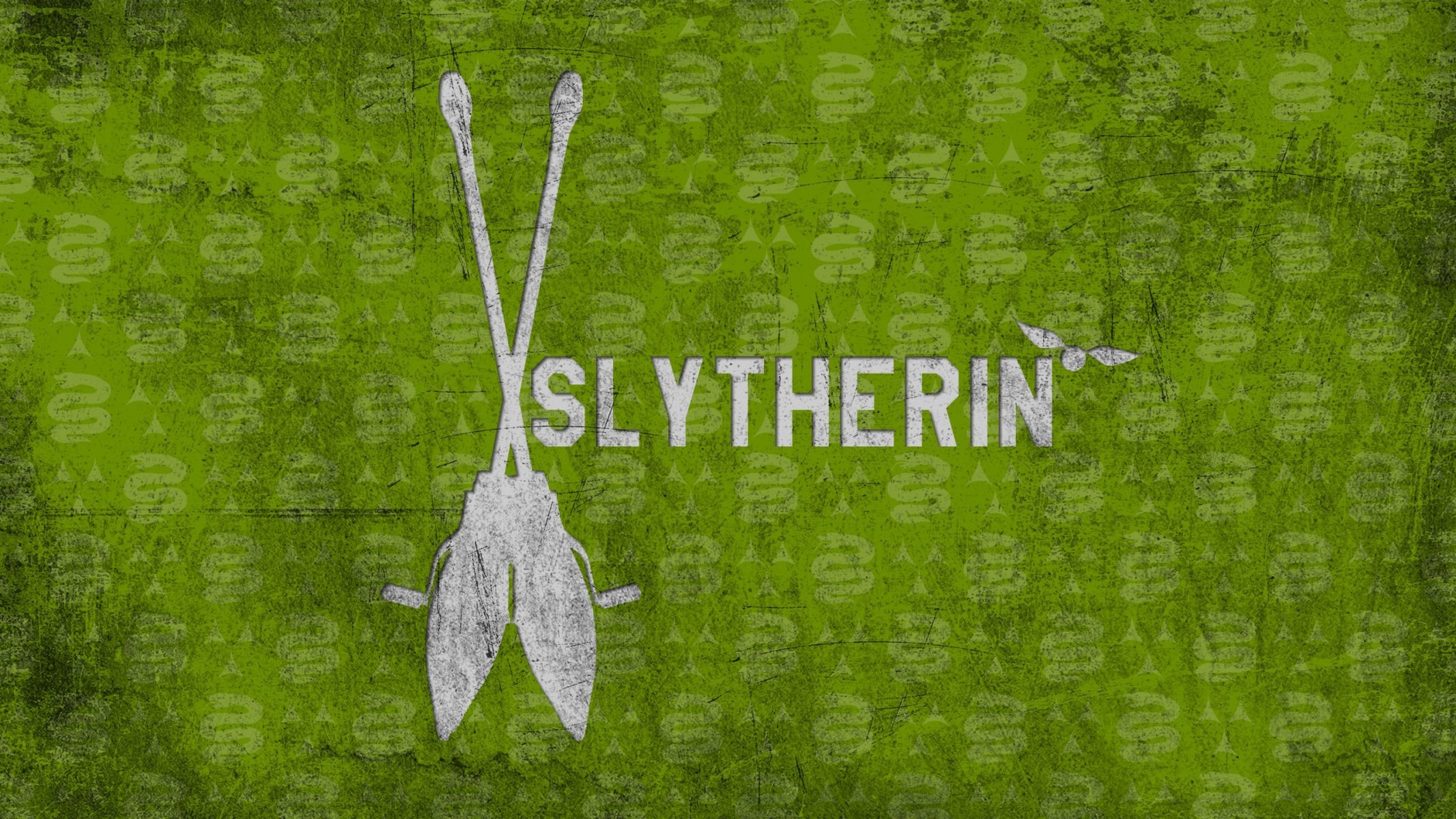 slytherin schlange schnatz harry potter harry potte
