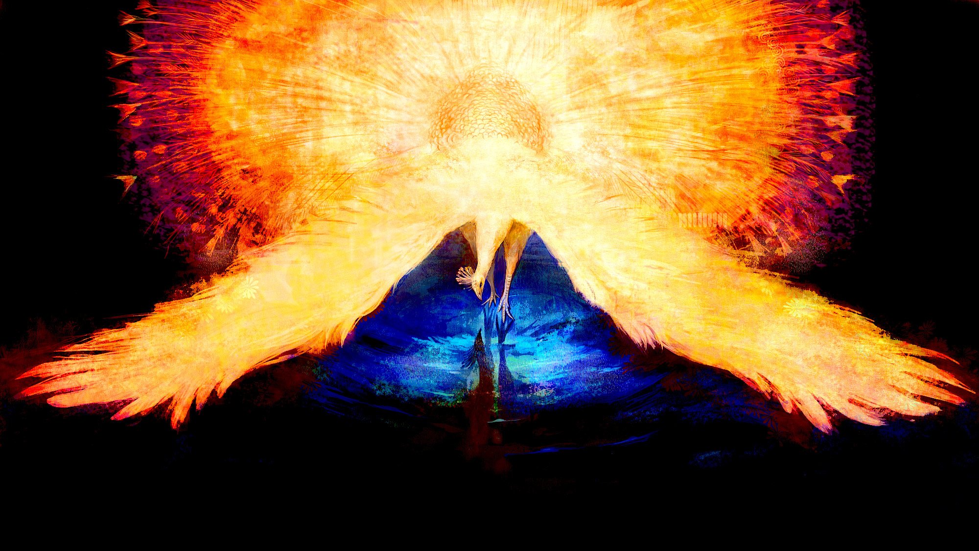 pfau feuer federn verbeugung