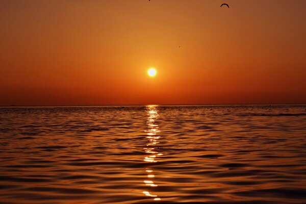 Schöner Sonnenuntergang im Urlaub