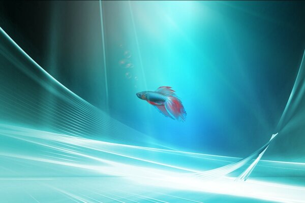 Fisch-Hahn im blauen Raum
