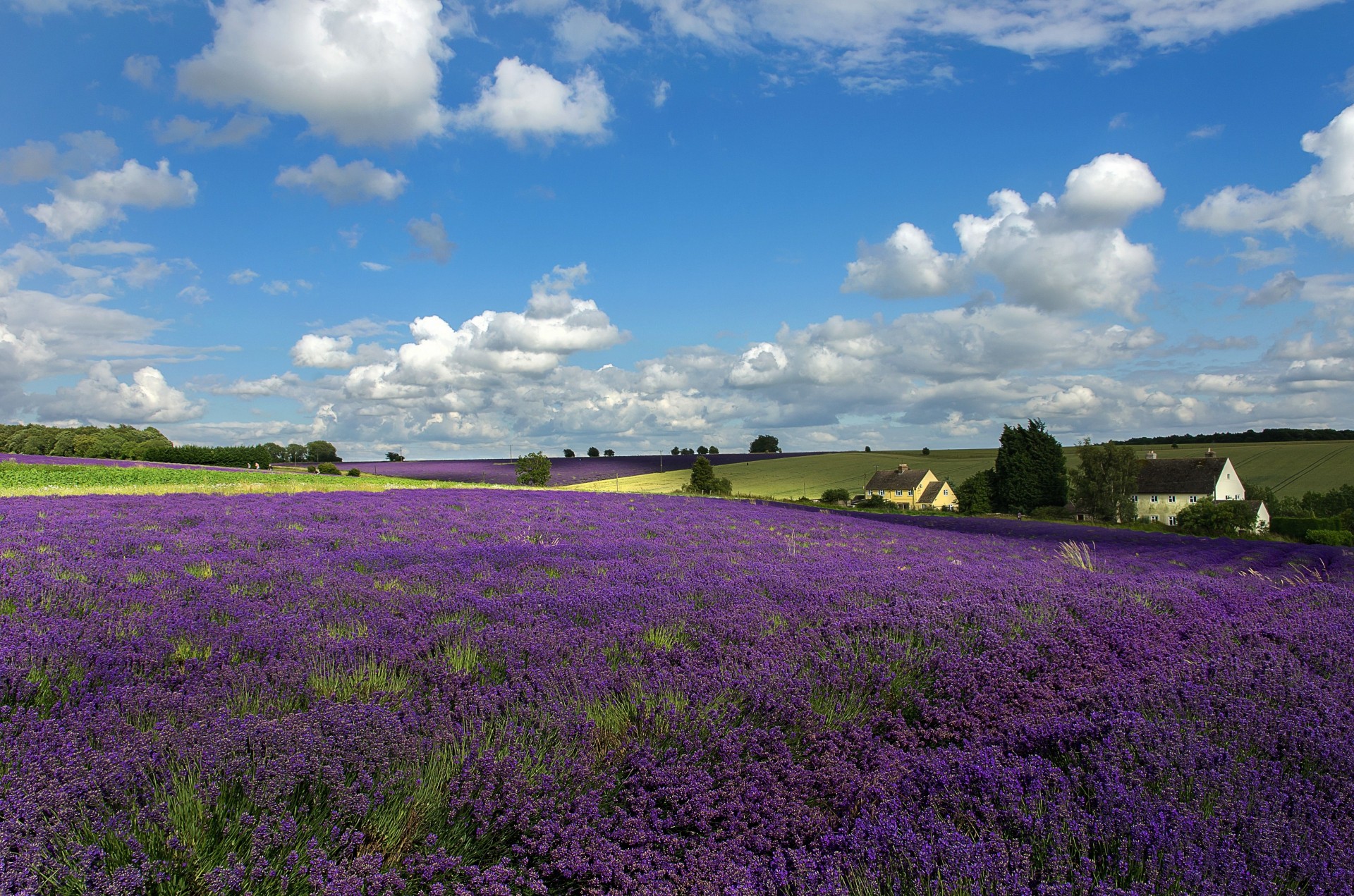 landschaft toskana wolken blumen himmel häuser