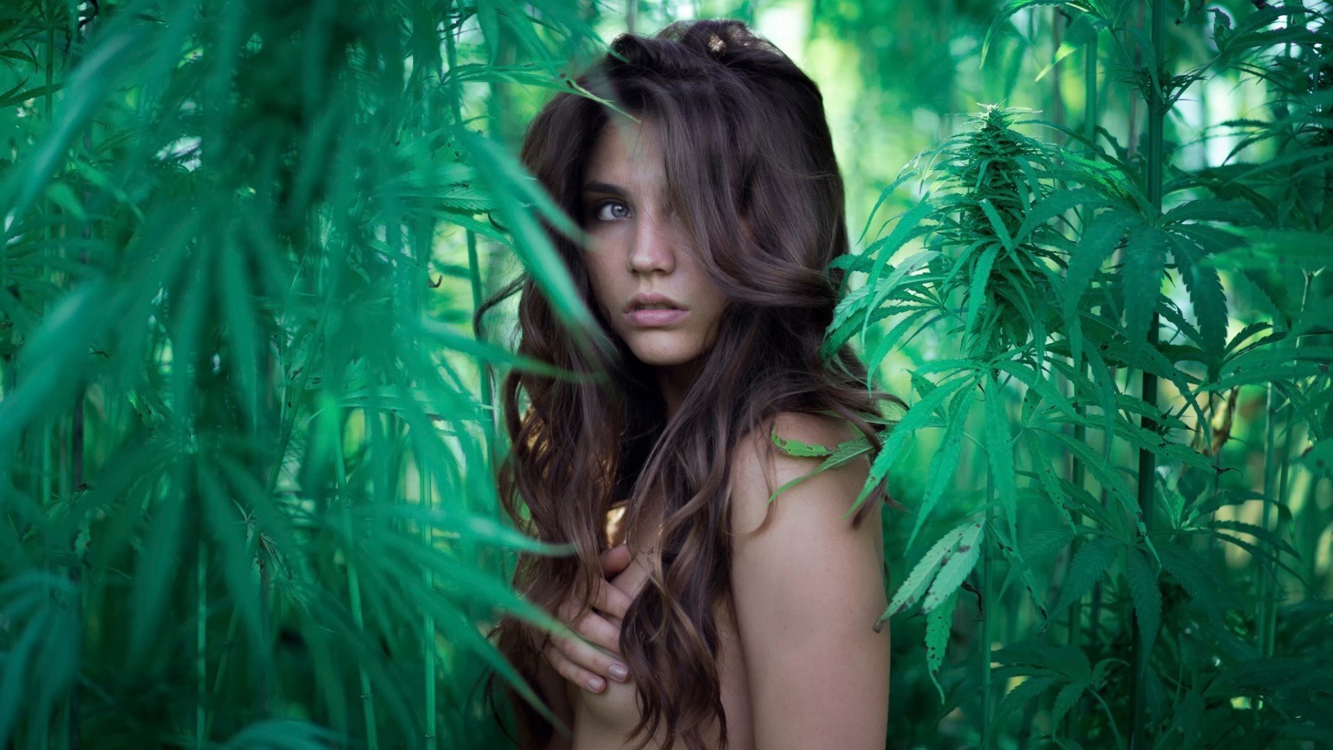 kanne nackt mädchen grüns ansehen naked