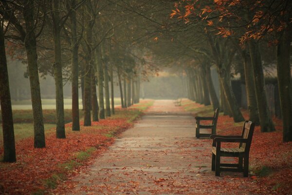 Herbstlicher Stadtpark mit Bänken