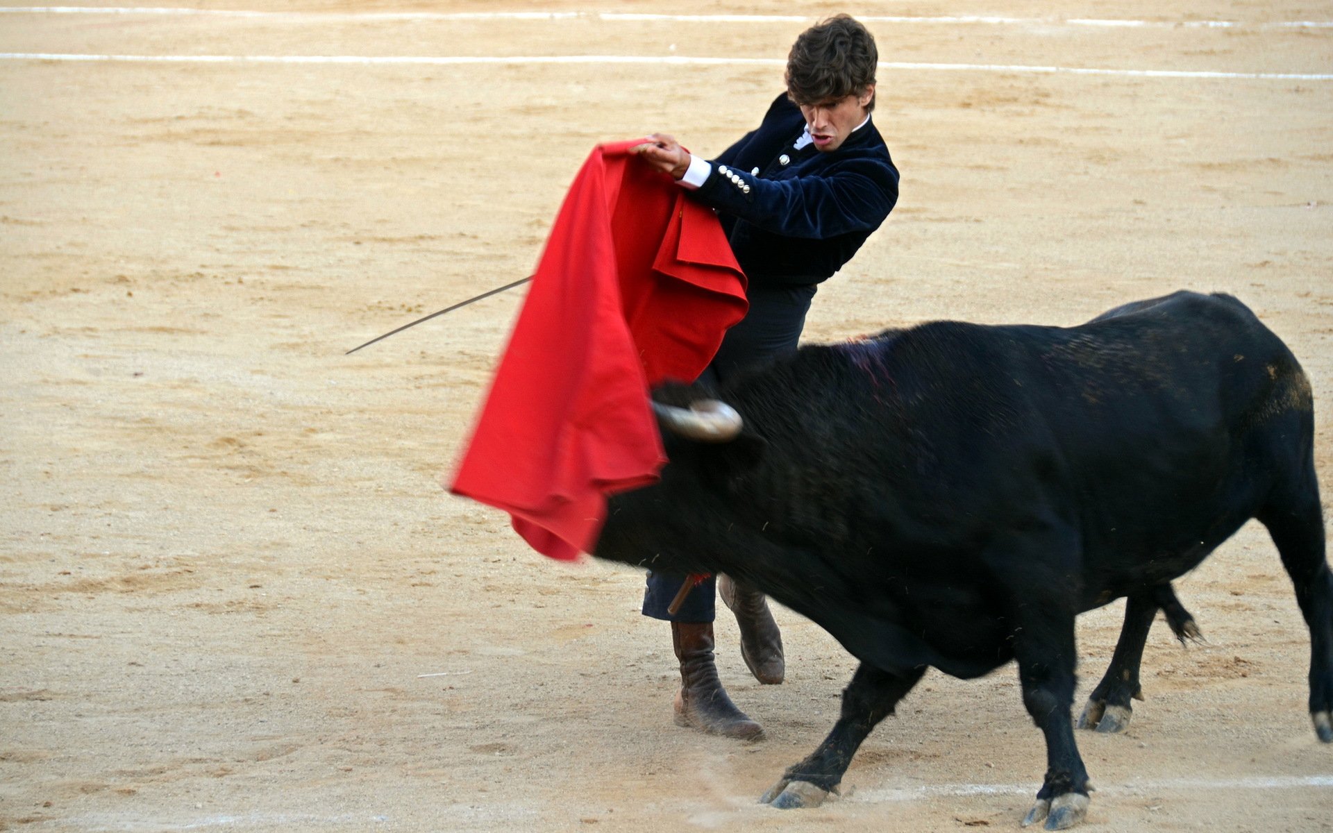 toros fiesta festival stier spanien