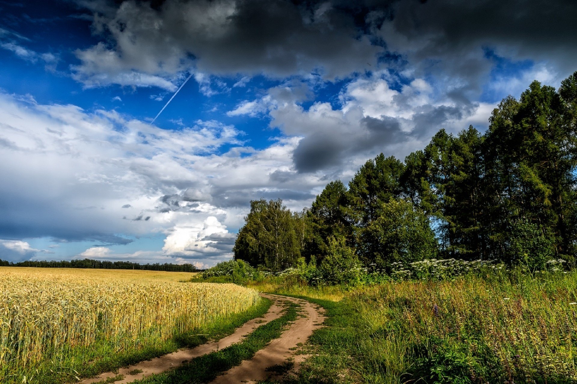 julia laptewa straße ährchen sommer himmel wolken feld roggen russland wolken