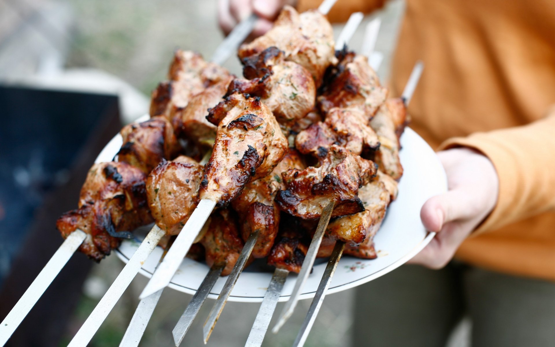 schaschlik fleisch lecker sommer spieße