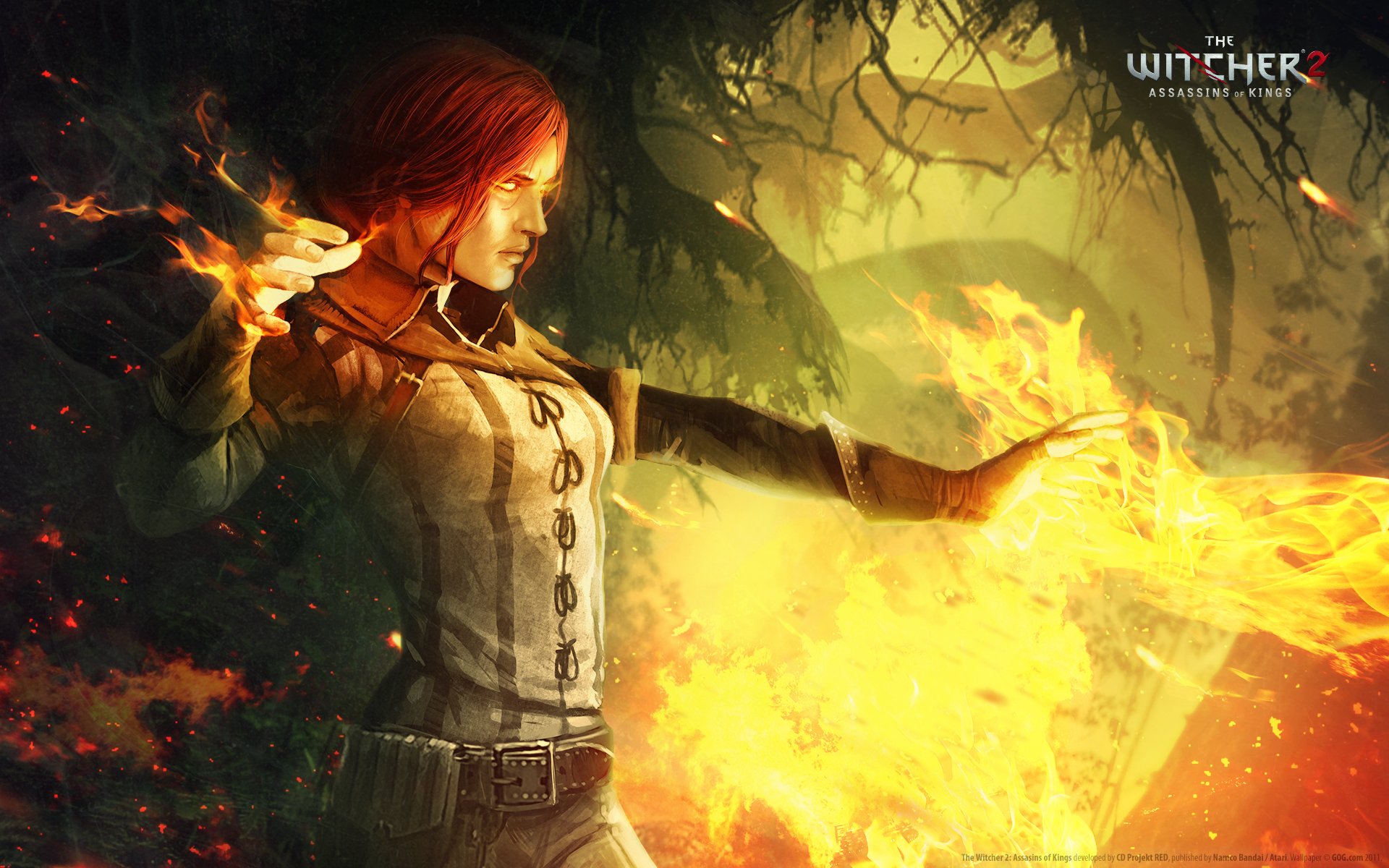the witcher 2 die mörder der könige triss das feuer