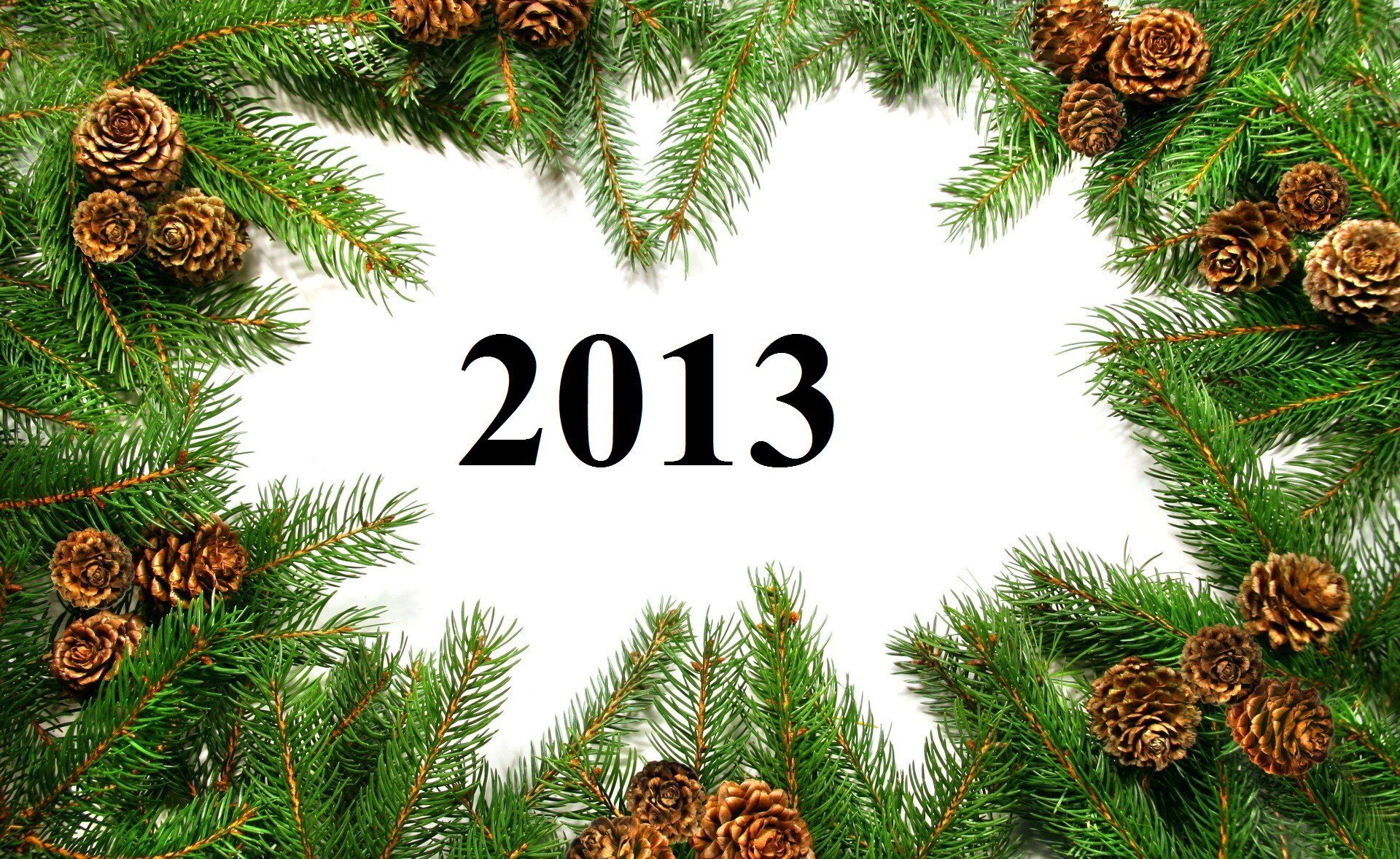 frohes neues jahr neu 2013 jahr zweige zapfen