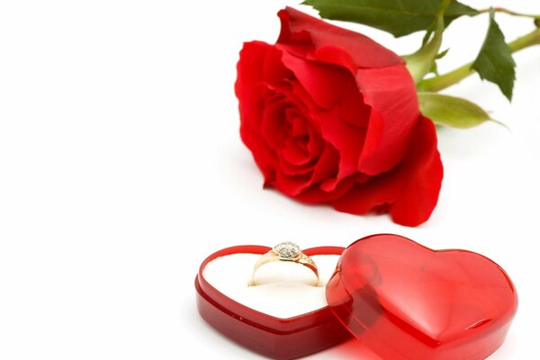 Angebot Hand und Herz Rose mit Ring