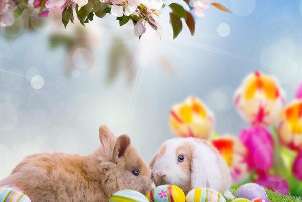 Zwei Osterhasen mit Ostereiern