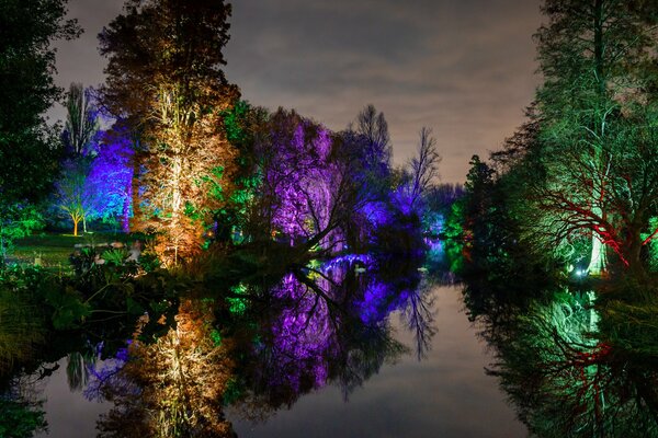 Nacht im Park. Die Bäume leuchten. Schöner Teich im Park