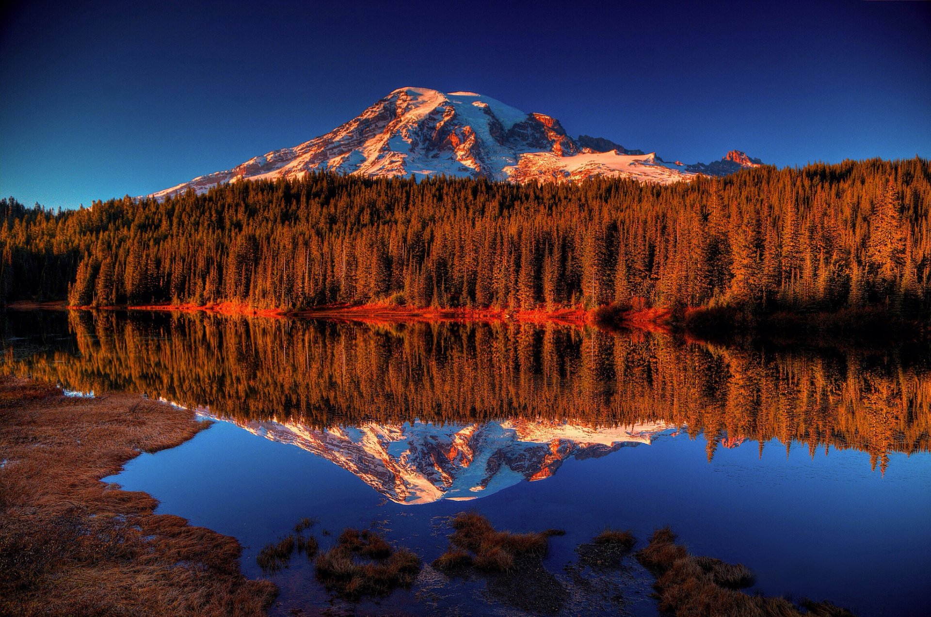berg wald see reflexion