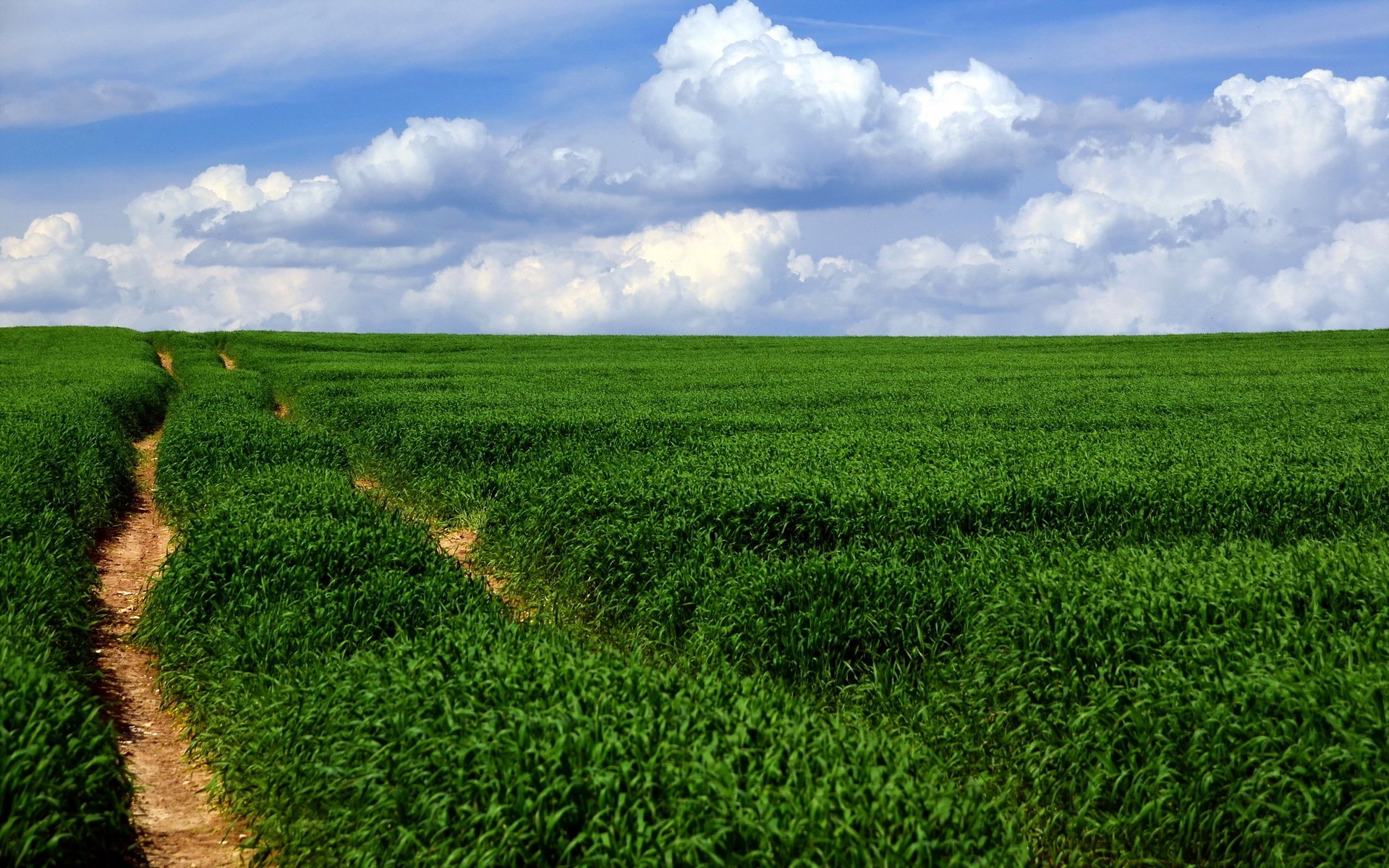 feld straße landschaft