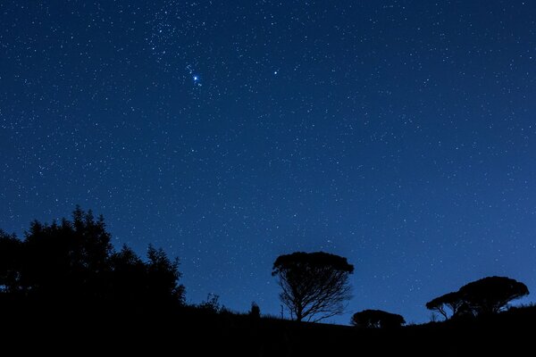Blick auf den Nachthimmel mit Sternen in Italien