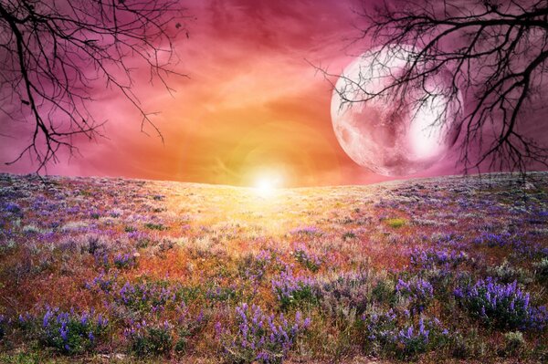 Helligkeit der Farben eines märchenhaften Sonnenuntergangs