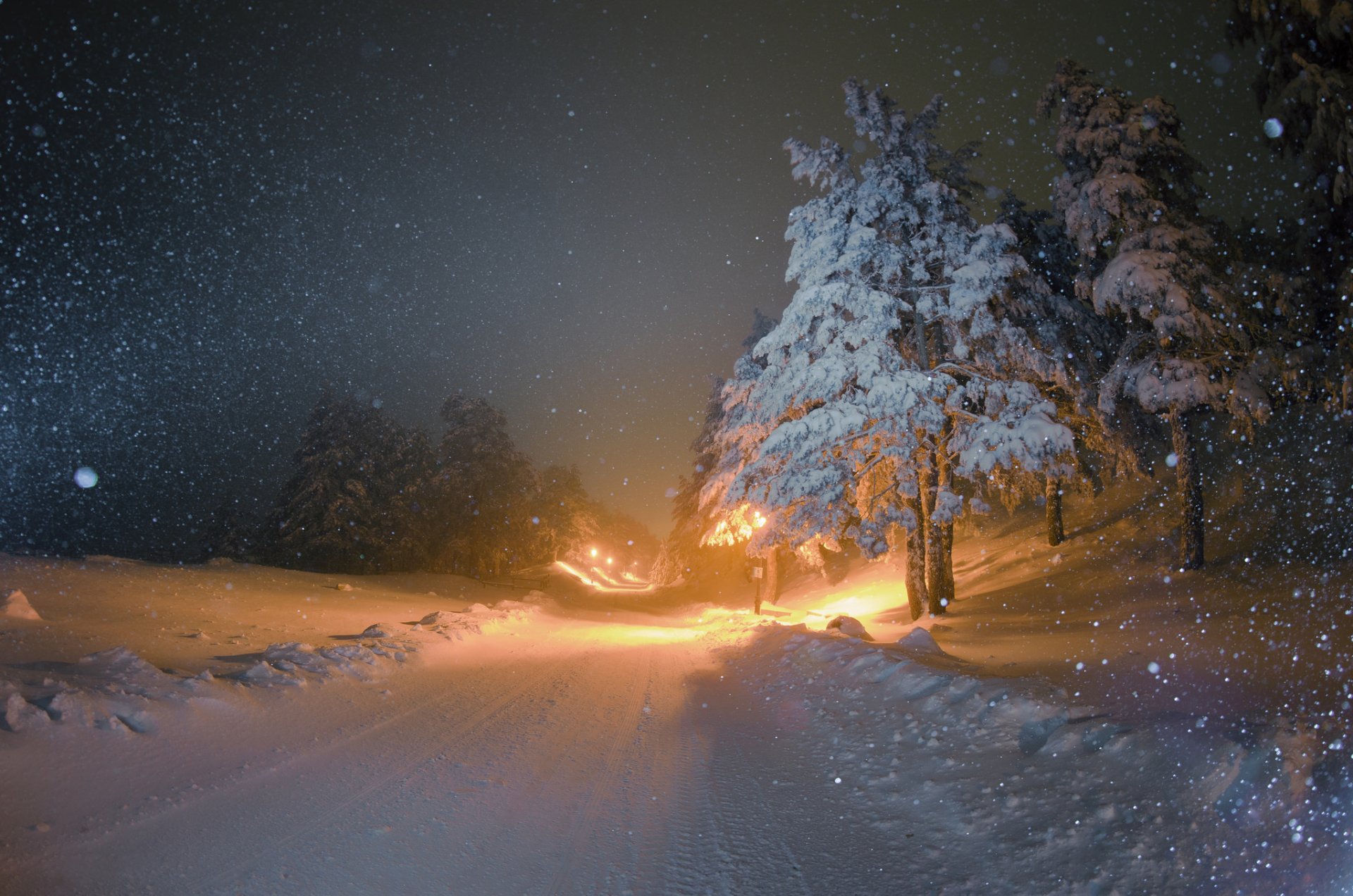 winter schnee weihnachtsbäume straße nacht lichter beleuchtung schneefall