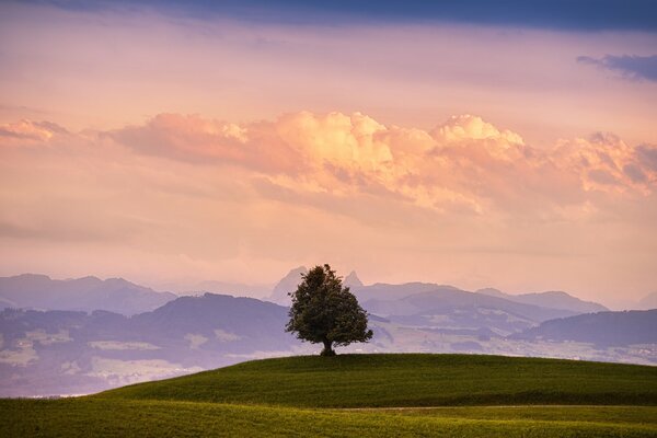 Berglandschaft. Schöne Wolken