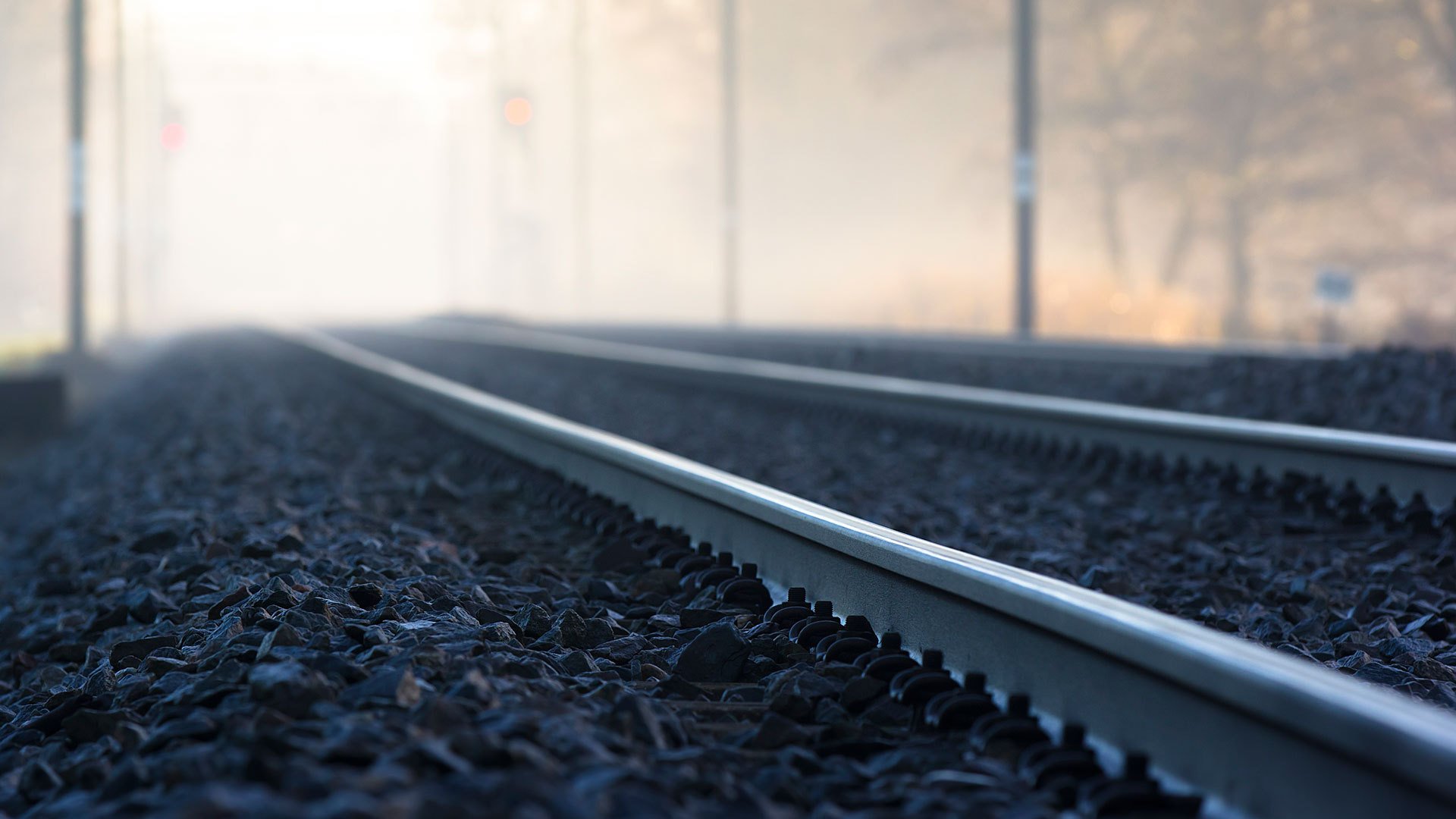 niederlande utrecht zeist am frühen morgen landschaft