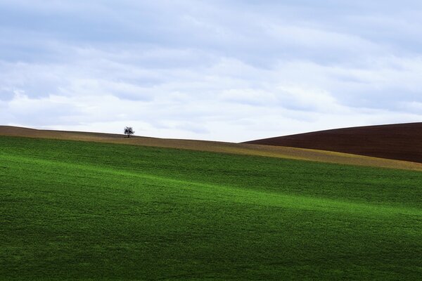 Das grüne Feld ist mit niedrigem Gras mit Blick auf den Hügel bedeckt