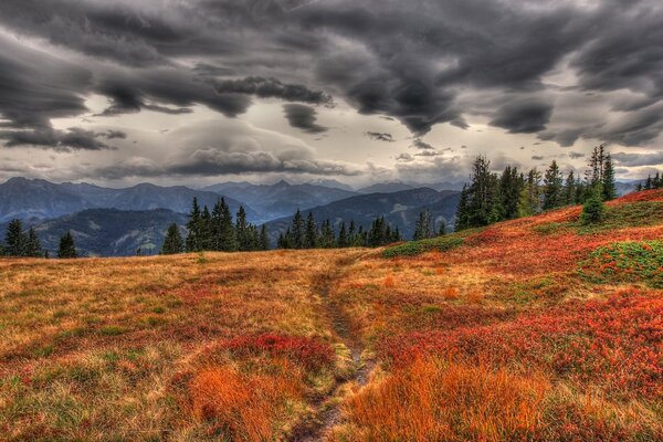Herbststimmung. graues Wetter