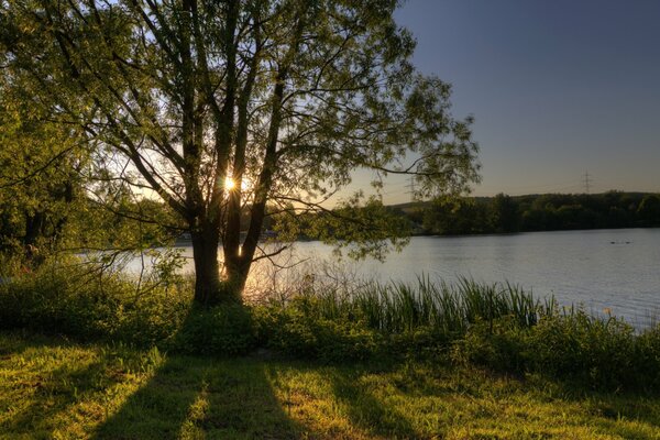Dämmerung am See mit hellen Sonnenstrahlen