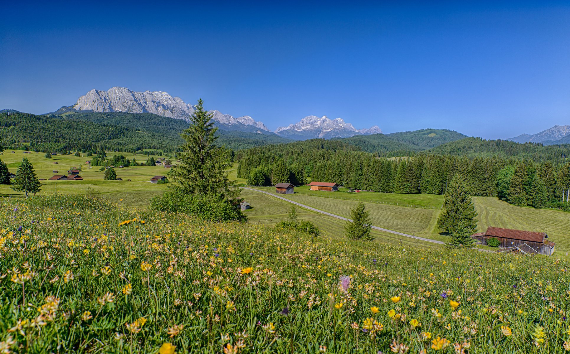 bayern deutschland alpen wiesen blumen berge wald häuser landschaft