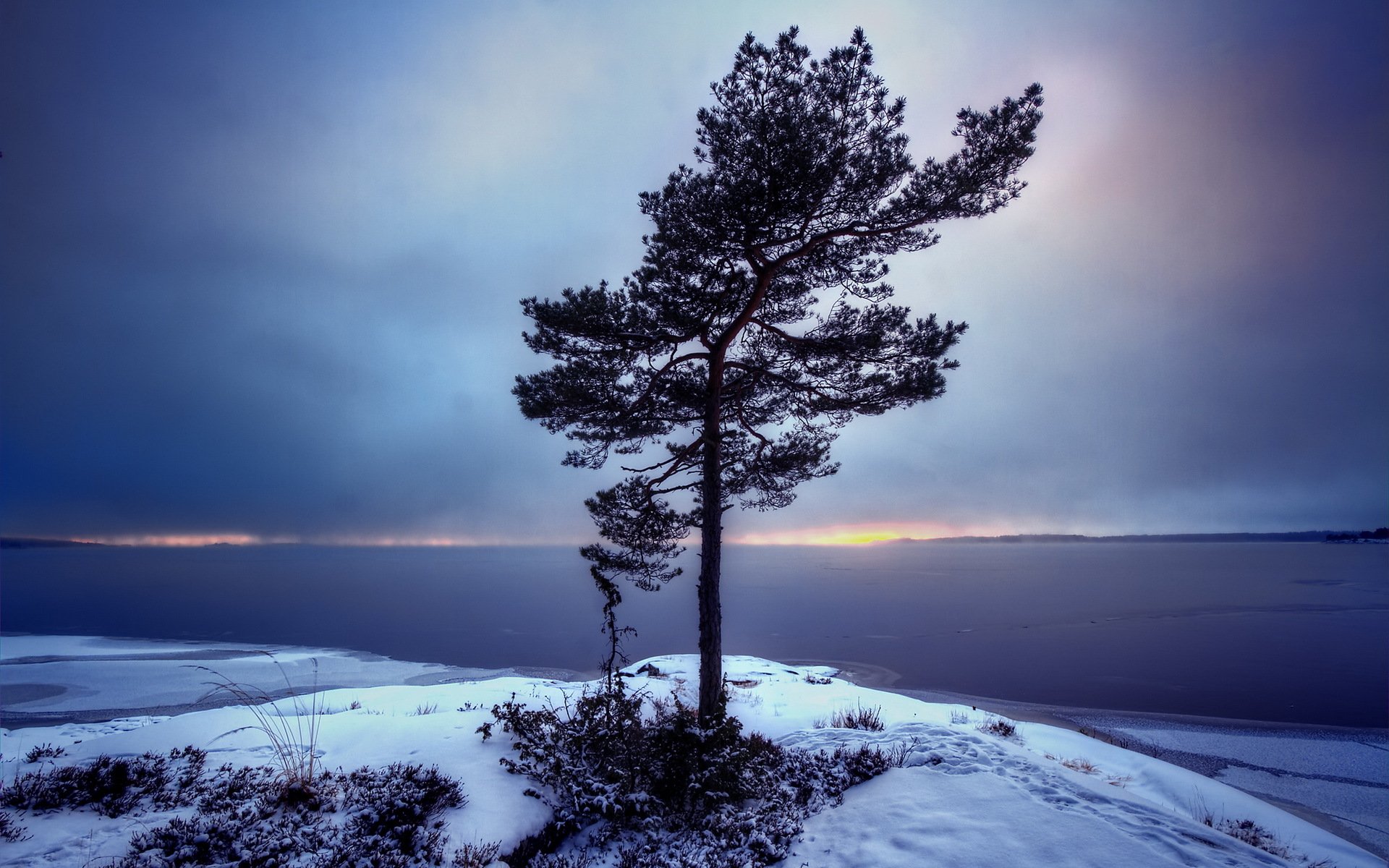 schweden vermland bergvik baum landschaft