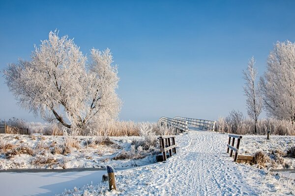 Frostiger Morgen auf der Brücke