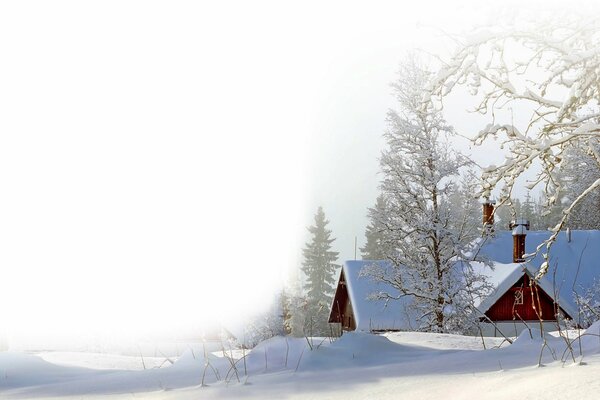 Schneehaus im Wald von Nizza