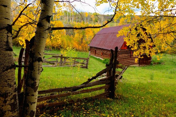 Bunter Herbst und gelbe Blätter